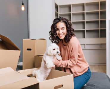 préparer sa maison pour l'arrivée d’un chien